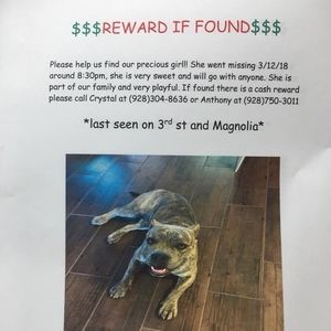 Meet your Posher, Crystal